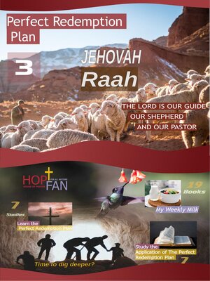 cover image of Perfect Redemption Plan 3